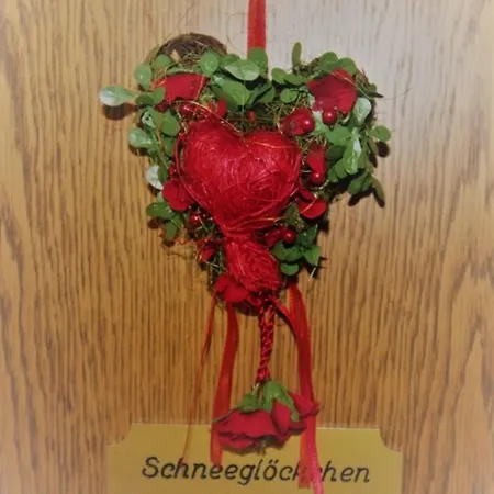 Schneegloeckchen -558- Mittenwald